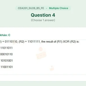 CEA201 SU26 B5 FE_004.webp