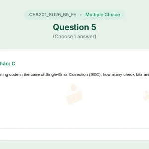 CEA201 SU26 B5 FE_005.webp