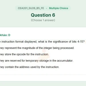 CEA201 SU26 B5 FE_006.webp