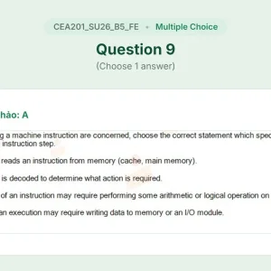 CEA201 SU26 B5 FE_009.webp