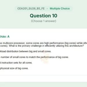 CEA201 SU26 B5 FE_010.webp