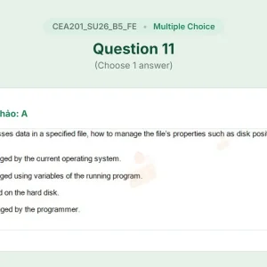 CEA201 SU26 B5 FE_011.webp