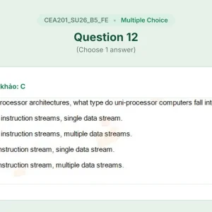 CEA201 SU26 B5 FE_012.webp