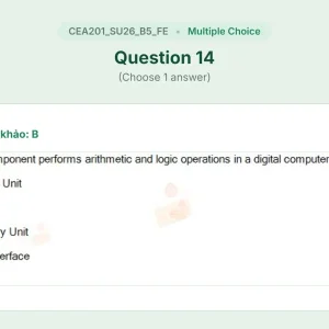 CEA201 SU26 B5 FE_014.webp