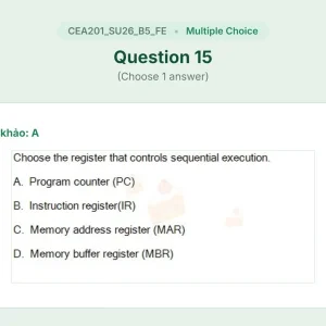 CEA201 SU26 B5 FE_015.webp