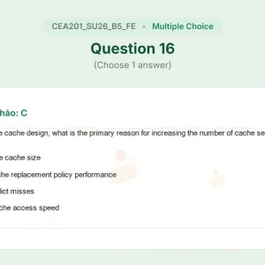 CEA201 SU26 B5 FE_016.webp