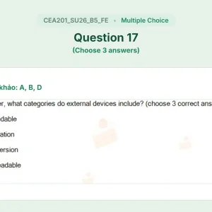 CEA201 SU26 B5 FE_017.webp