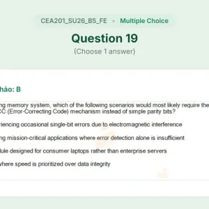 CEA201 SU26 B5 FE_019.webp