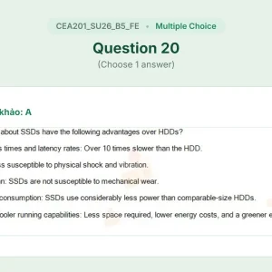 CEA201 SU26 B5 FE_020.webp