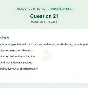CEA201 SU26 B5 FE_021.webp