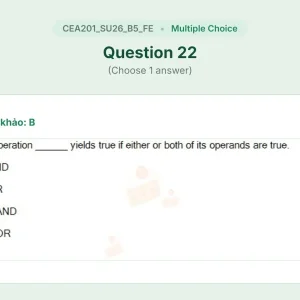 CEA201 SU26 B5 FE_022.webp