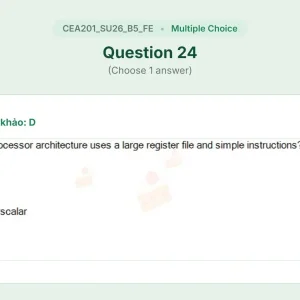 CEA201 SU26 B5 FE_024.webp
