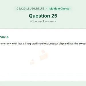 CEA201 SU26 B5 FE_025.webp