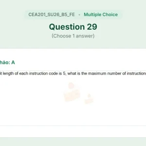CEA201 SU26 B5 FE_029.webp