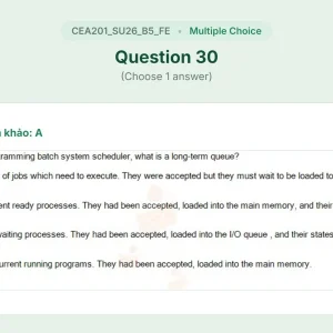CEA201 SU26 B5 FE_030.webp