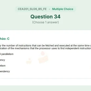 CEA201 SU26 B5 FE_034.webp