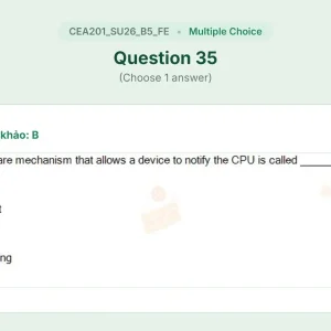 CEA201 SU26 B5 FE_035.webp