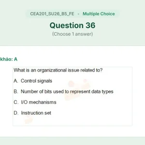 CEA201 SU26 B5 FE_036.webp