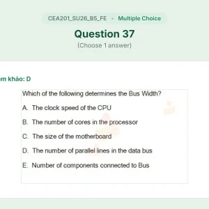 CEA201 SU26 B5 FE_037.webp