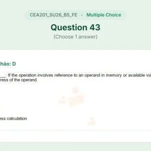 CEA201 SU26 B5 FE_043.webp