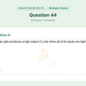 CEA201 SU26 B5 FE_044.webp