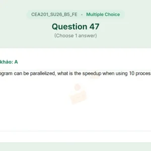 CEA201 SU26 B5 FE_047.webp