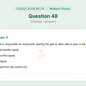 CEA201 SU26 B5 FE_048.webp