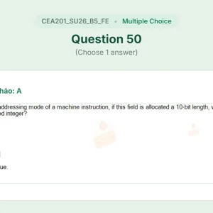 CEA201 SU26 B5 FE_050.webp