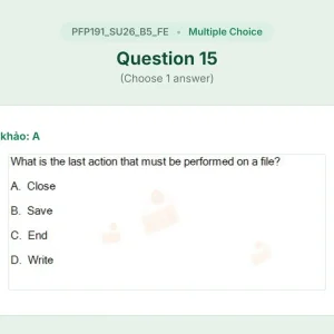 PFP191 SU26 B5 FE_015.webp