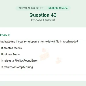 PFP191 SU26 B5 FE_043.webp