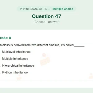 PFP191 SU26 B5 FE_047.webp