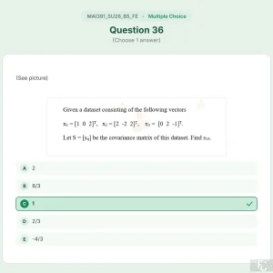 MAI391 SU26 B5 FE_036.webp