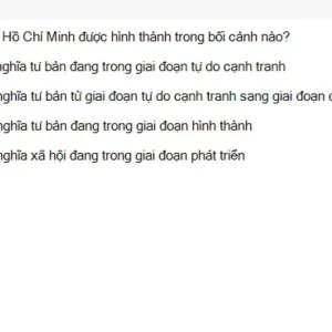 HCM202 SU26 B5 FE_002.webp