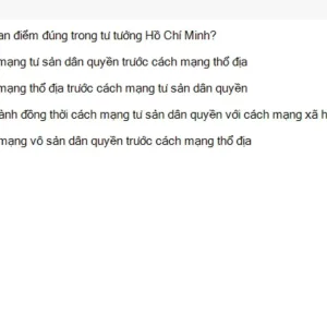 HCM202 SU26 B5 FE_009.webp