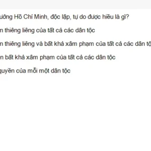 HCM202 SU26 B5 FE_012.webp