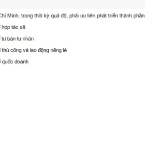 HCM202 SU26 B5 FE_013.webp