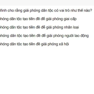 HCM202 SU26 B5 FE_014.webp