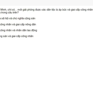 HCM202 SU26 B5 FE_018.webp