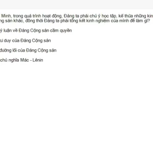 HCM202 SU26 B5 FE_020.webp