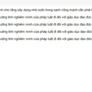 HCM202 SU26 B5 FE_024.webp