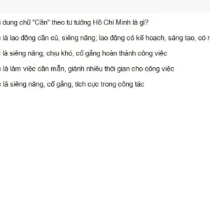 HCM202 SU26 B5 FE_027.webp