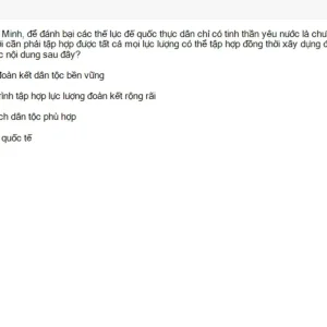 HCM202 SU26 B5 FE_030.webp