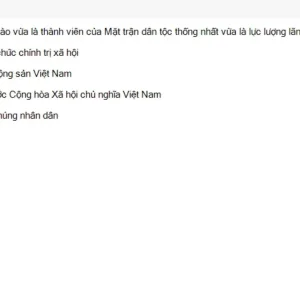 HCM202 SU26 B5 FE_033.webp