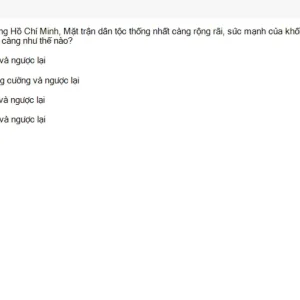HCM202 SU26 B5 FE_035.webp