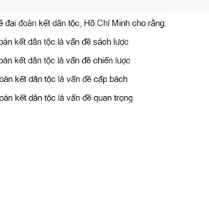 HCM202 SU26 B5 FE_038.webp