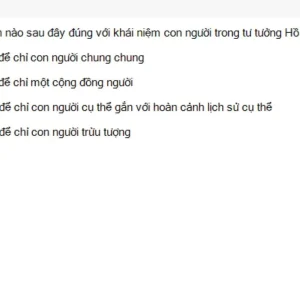 HCM202 SU26 B5 FE_043.webp
