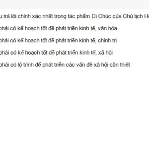 HCM202 SU26 B5 FE_044.webp