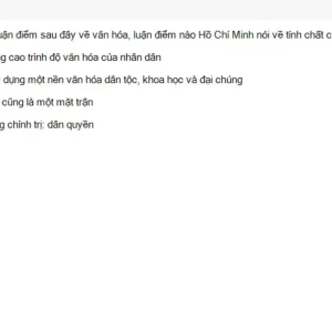 HCM202 SU26 B5 FE_049.webp