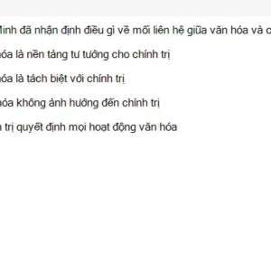 HCM202 SU26 B5 FE_052.webp