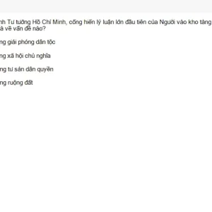 HCM202 SU26 B5 FE_058.webp